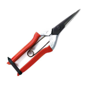 SAMURAI-PRUNING-SHEARS-LONG-&-STRAIGHT-BLADE