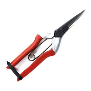 SAMURAI-PRUNING-SHEARS-LONG-&-STRAIGHT-BLADE