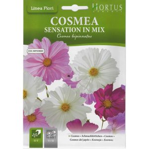 COSMOS-SEEDS-HORTUS-1G