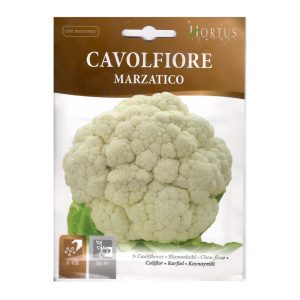CAULIFLOWER-SEEDS-HORTUS-010