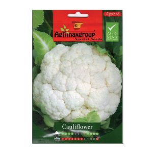 Cauliflower-seeds-AGRIMAX