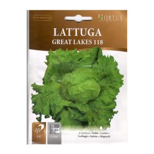 LETTUCE-SEEDS-HORTUS