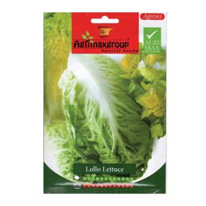 Lollo-lettuce-seeds-AGRIMAX