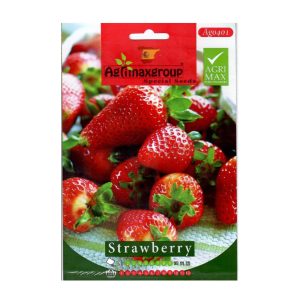 STRAWBERRY-SEEDS-AGRIMAX
