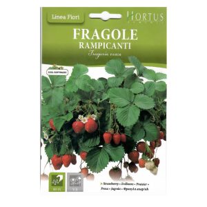 STRAWBERRY-SEEDS-HORTUS