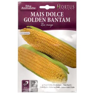 SWEET-CORN-SEEDS-HORTUS-4G