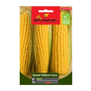 SWEET YELLOW CORN SEEDS AGRIMAX 5G