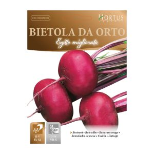 BEETROOT-SEEDS-HORTUS-10G