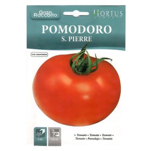 BIG-TOMATO-SEEDS-HORTUS