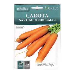 CARROT-SEEDS-HORTUS-5G-01