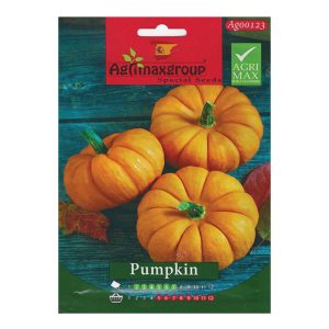 PUMPKIN SEEDS AGRIMAX 3G