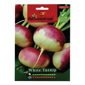 WHITE-TURNIP-SEEDS-AGRIMAX-5G