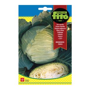 CABBAGE-BRUNSWICK-SEEDS-FITO
