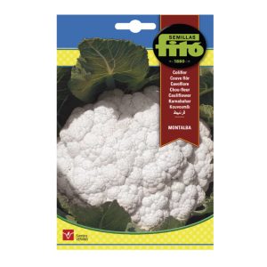 CAULIFLOWER-SEEDS-FITO-4G