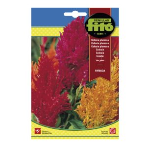 CELOSIA-SEEDS-FITO-2G