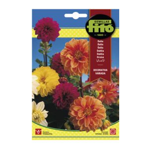 DAHLIA-DECOR-MIX-SEEDS-FITO-1G