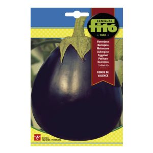EGGPLANT-SEEDS-FITO4G