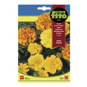 FRENCH-MARIGOLD-SEEDS-FITO-4G