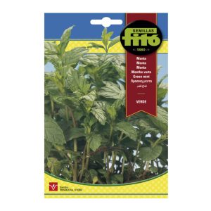 GREEN-MINT-SEEDS-FITO-2G