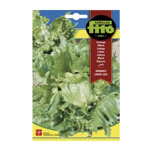 LETTUCE-SEEDS-FITO-6G