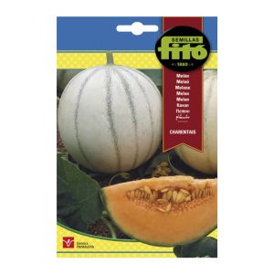 MELON-CHARENTAIS-SEEDS-FITO-10G