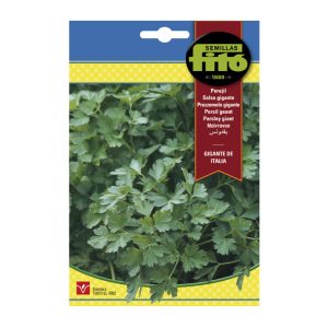 PARSLEY-GIGANTE-SEEDS-FITO-20G