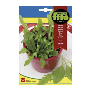 RUCULA-ROKA-SEEDS-FITO-5G
