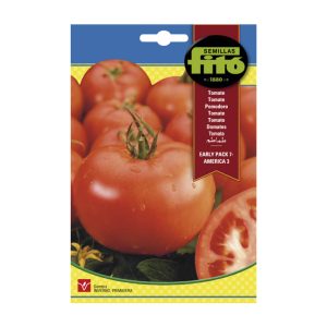 TOMATO-EARLY-AMERICA-SEEDS-FITO-3G