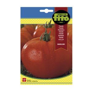 TOMATO-MARGLOBE-SEEDS-FITO-3G