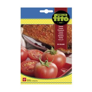 TOMATO-ROUND-SEEDS-FITO-1G